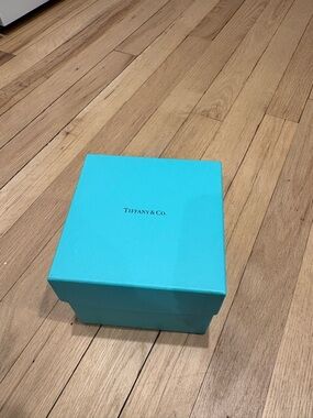 Tiffany & Co. Robin's Egg Blue Gift Box